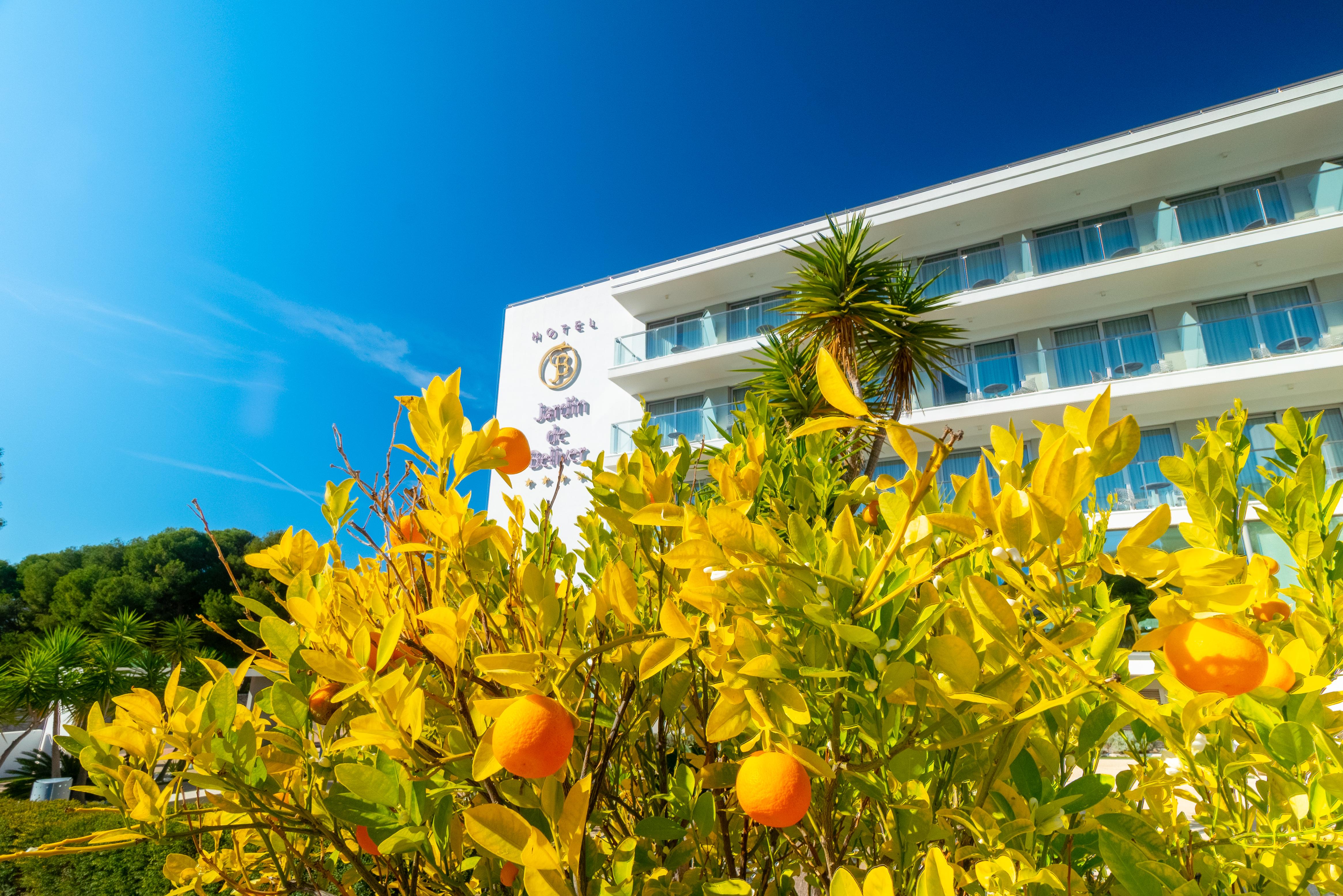 Hotel Jardin De Bellver 오로페사델마르 외부 사진